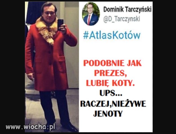 Dominik