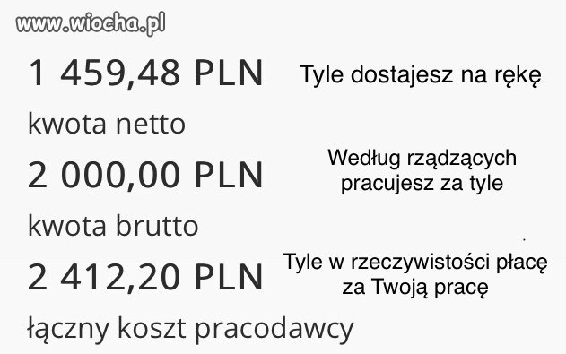 Zatrudniam Cię na umowę o pracę.