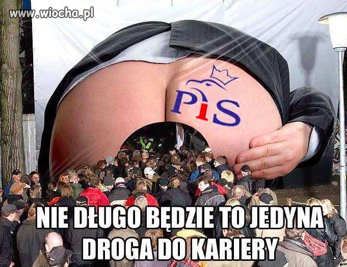 CV i dyplomy już niepotrzebne