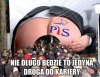 CV i dyplomy już niepotrzebne
