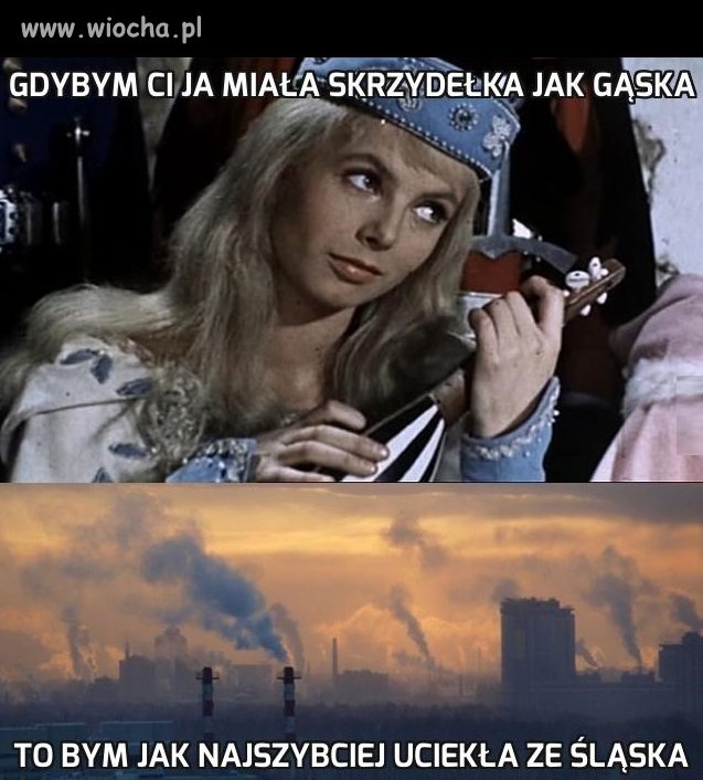 Gdybym ci ja miała skrzydełka jak gąska