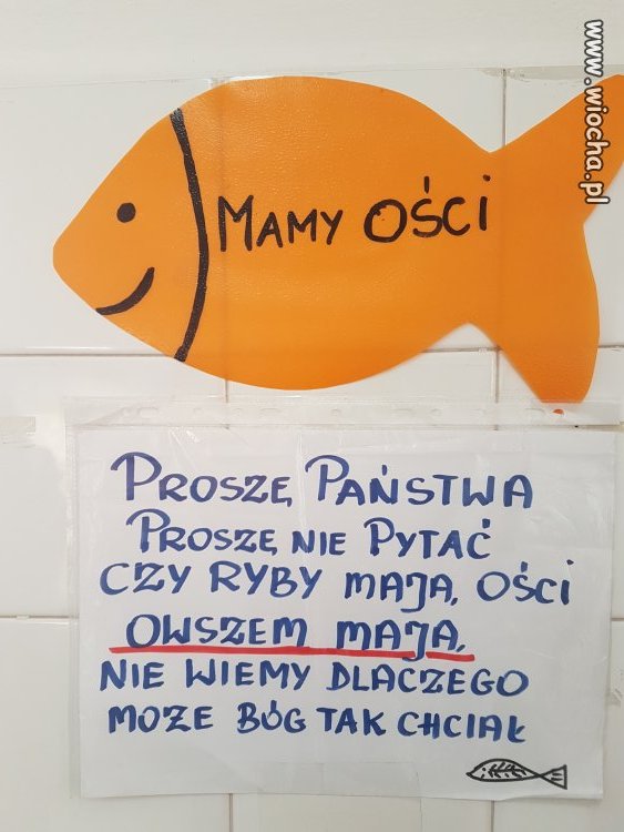 Bóg tak chciał - ryby mają ości 
