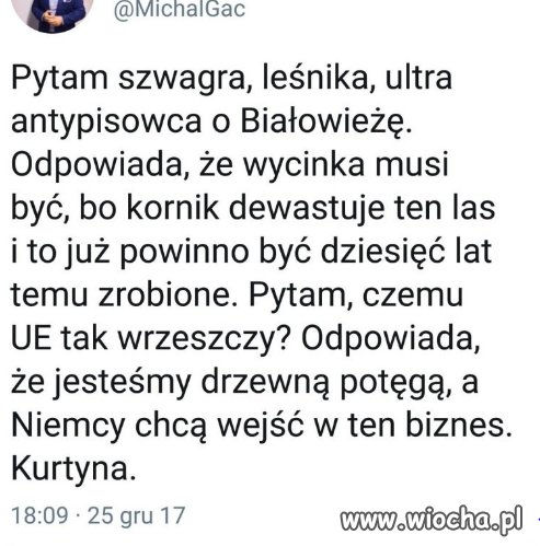 Czemu UE tak wrzeszczy ws Białowieży? 