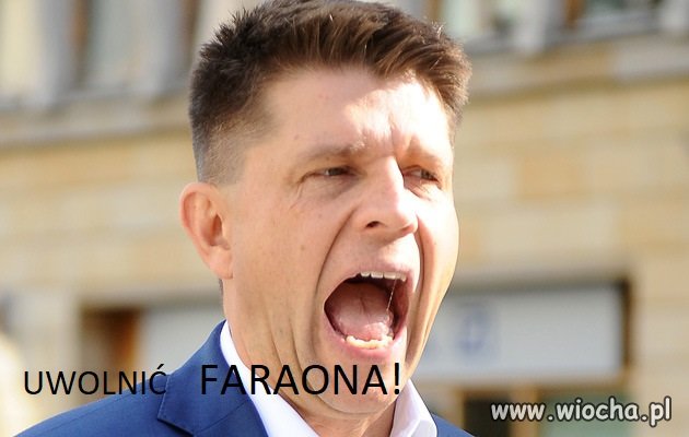 Rysiek się odnalazł