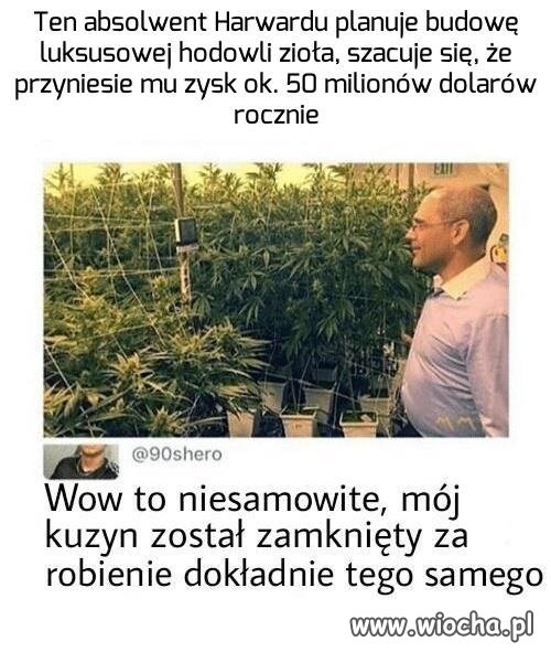 Takie życie