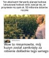 Takie życie