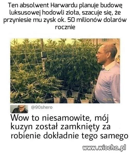 Takie życie
