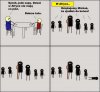 Zjadanie całego obiadu