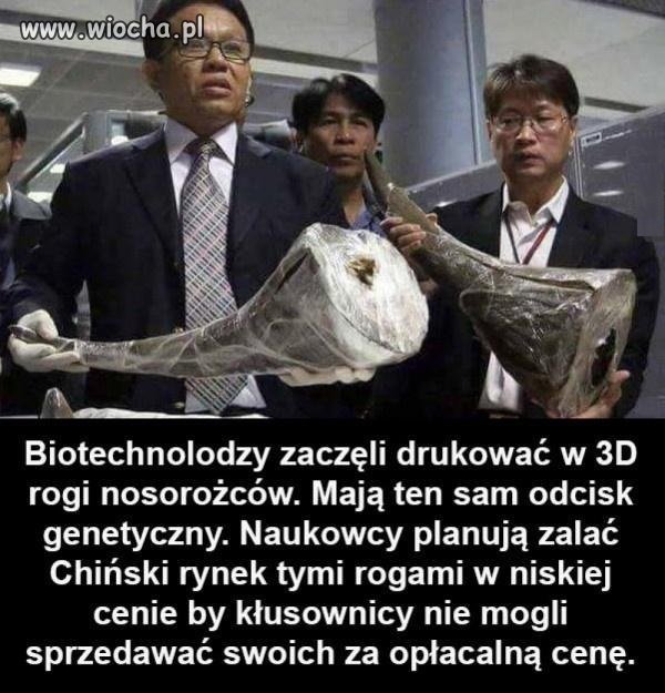 To jest plan