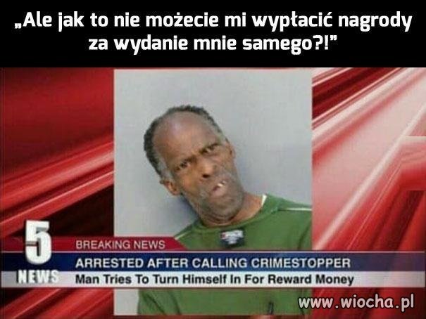 Jeśli myślisz, że jesteś głupi, 