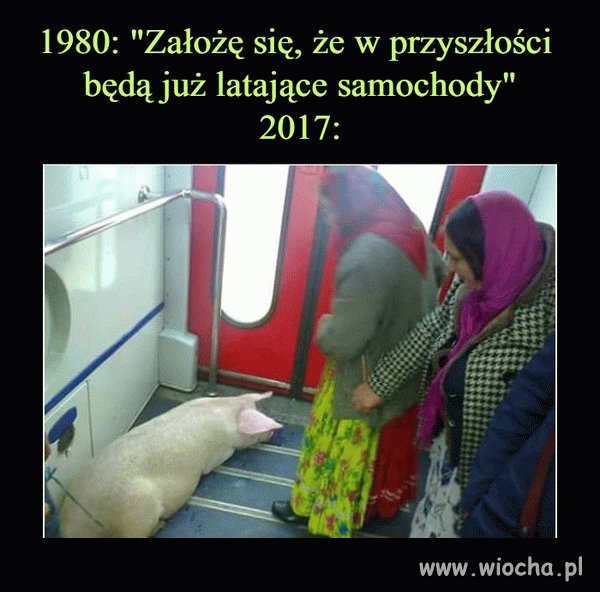 Oczekiwania i rzeczywistość