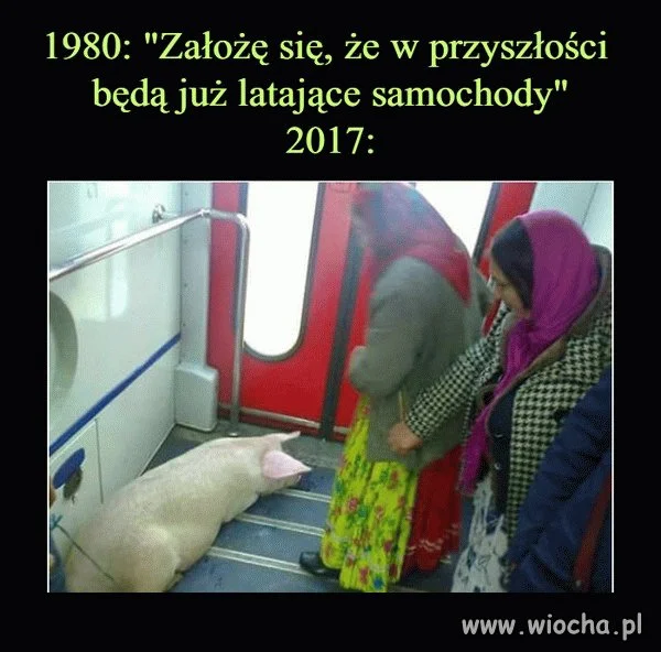 Oczekiwania i rzeczywistość
