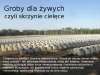 Za drogo wychodzi Krowy napastwisko wypuszczać?