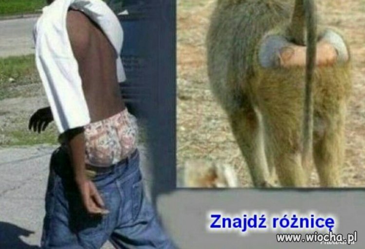 Pochodzenia nie ukryjesz 
