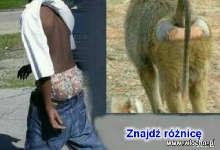 Pochodzenia nie ukryjesz 