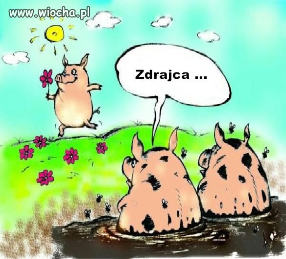 Tak...