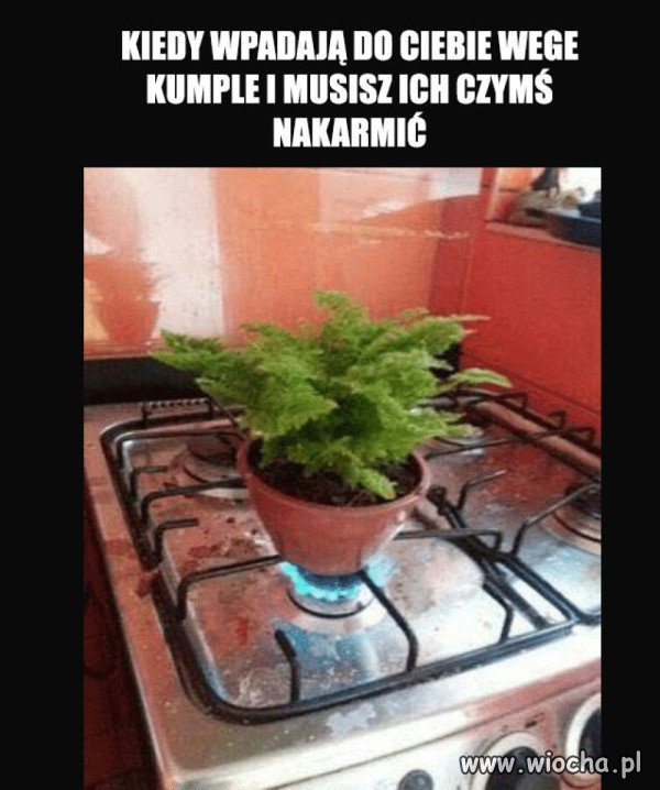 Bywa i tak