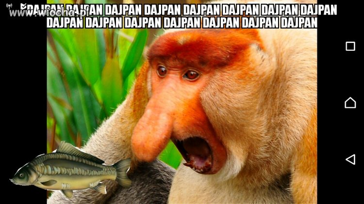 LIDL 2017 