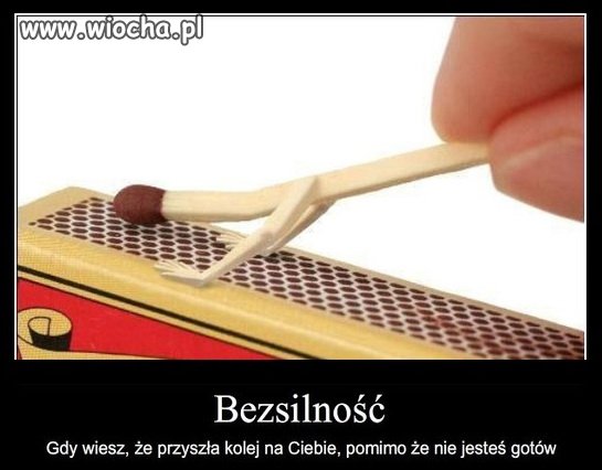 Sentencja na dziś