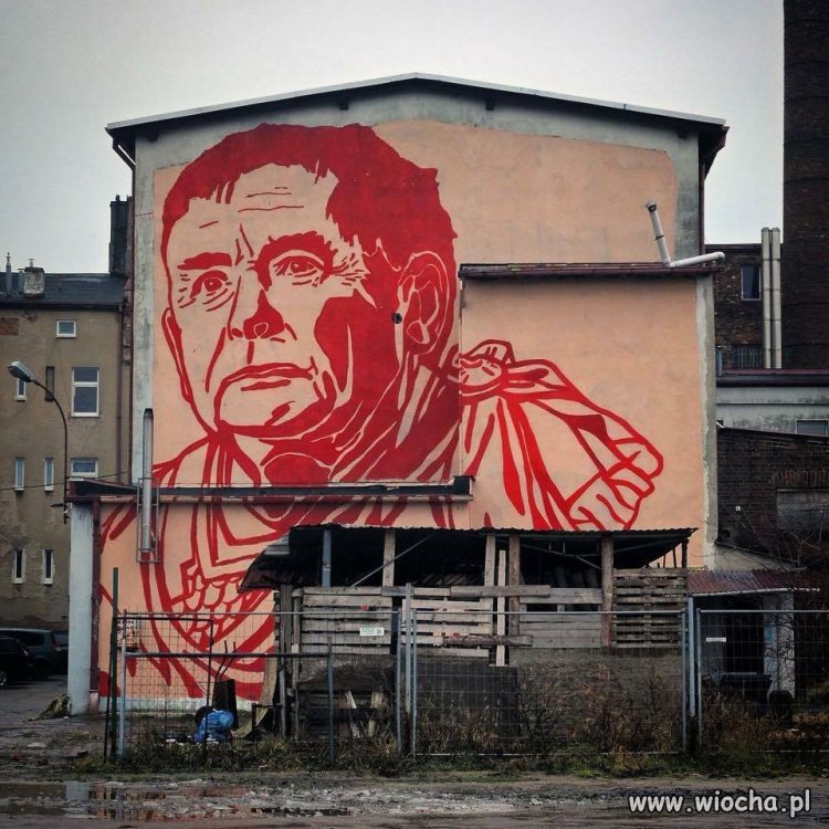 Jaki piękny grzyb na ścianie...