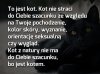 Filozofia kotów