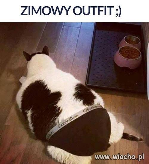 Zimowy