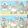 żona urodziła
