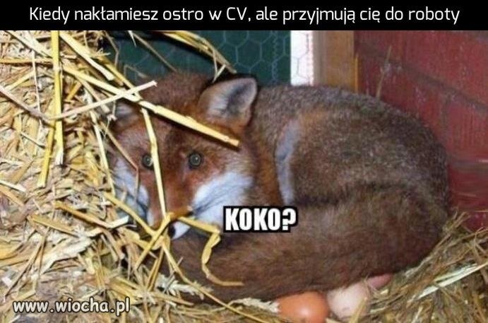 Kiedy nakłamiesz ostro w CV