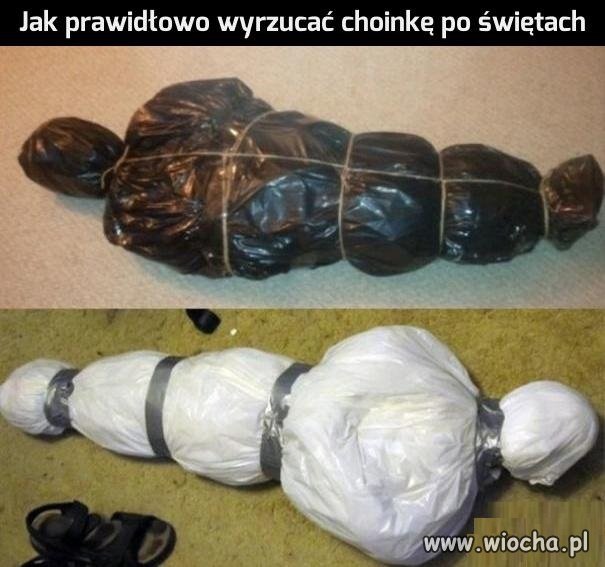 Tak się wynosi choinkę