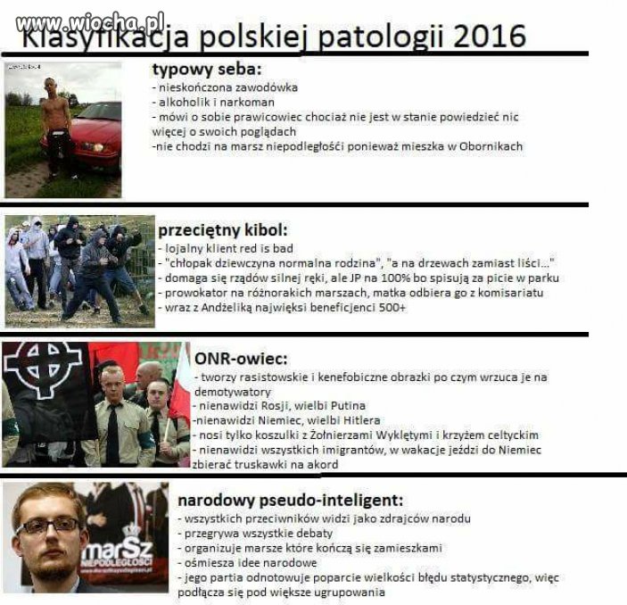 Klasyfikacja polskiej patologii