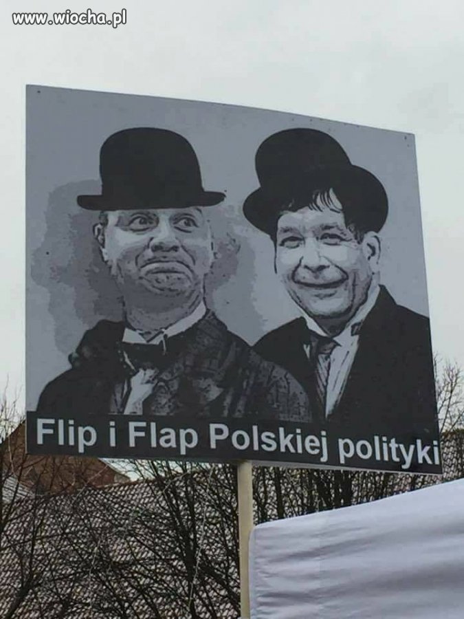Flip i Flap