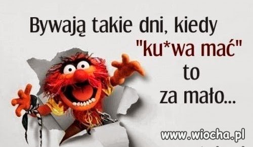 Już niedługo na zakupach