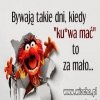 Już niedługo na zakupach
