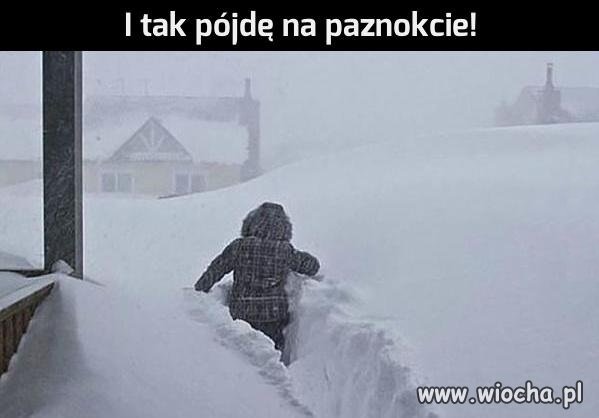 Karyny takie są