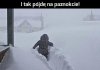 Karyny takie są