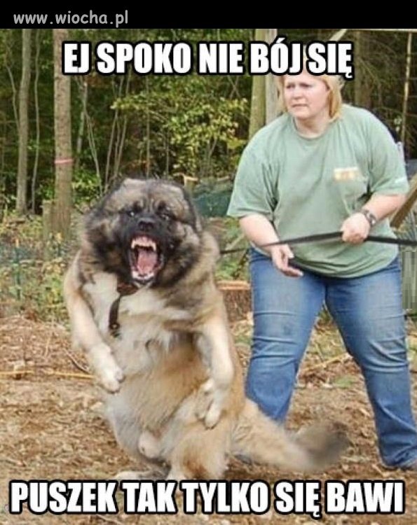 Puszek, siad!