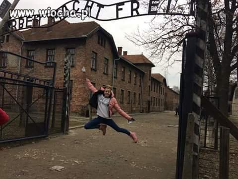 Tak wygląda głupota 