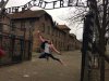 Tak wygląda głupota 
