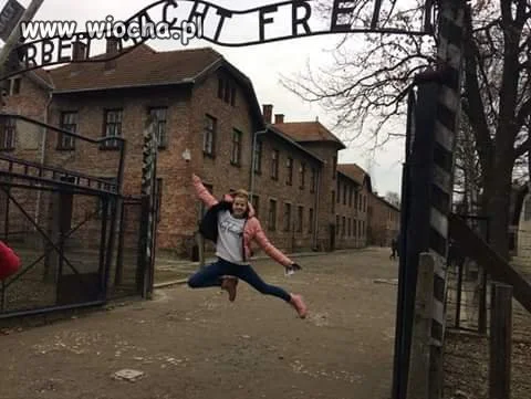 Tak wygląda głupota 
