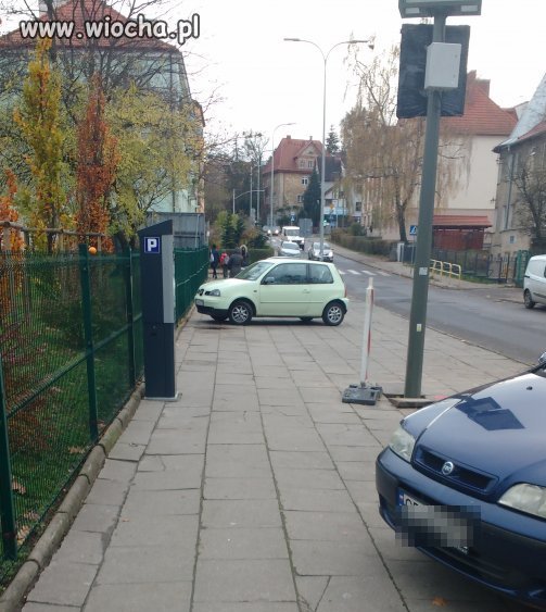 Najlepiej przy płocie 