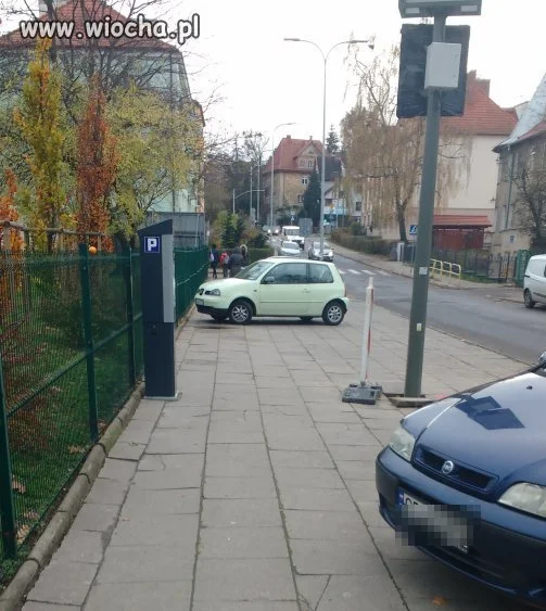 Najlepiej przy płocie 