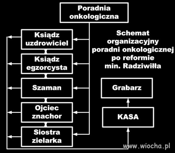 Przykładowy schemat organizacyjny opieki zdrowotnej 