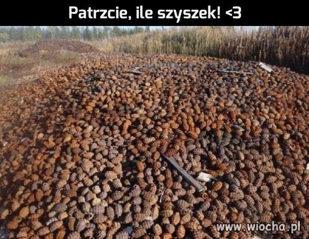 Natura jest taka fascynująca