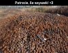 Natura jest taka fascynująca