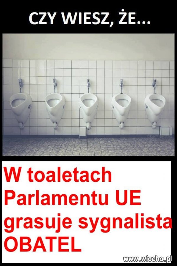 Czy wiesz że