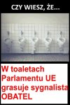 Czy wiesz że