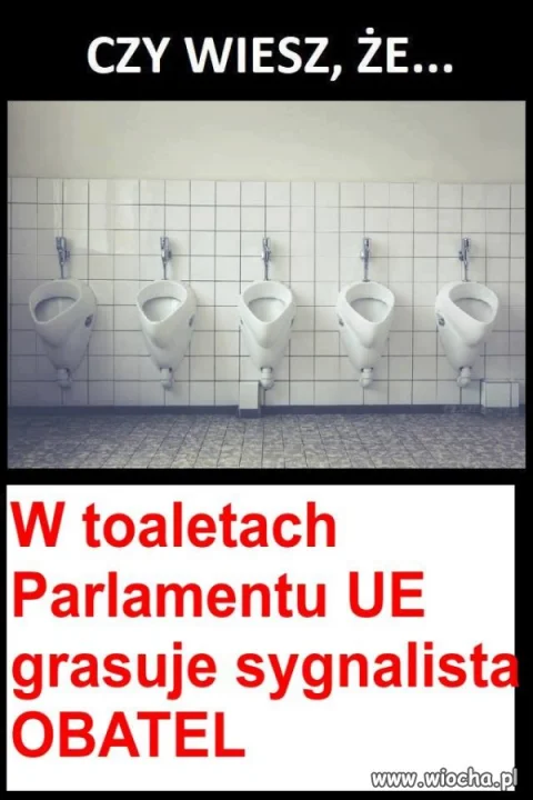 Czy wiesz że