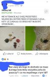 Durny kot, durny właściciel