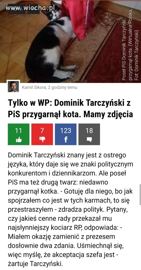 Ciężki los kota gdy przygarnie go miernota 