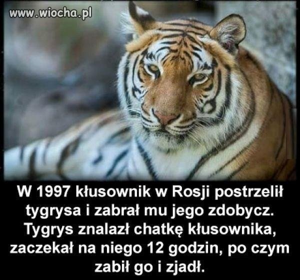 Zemsta